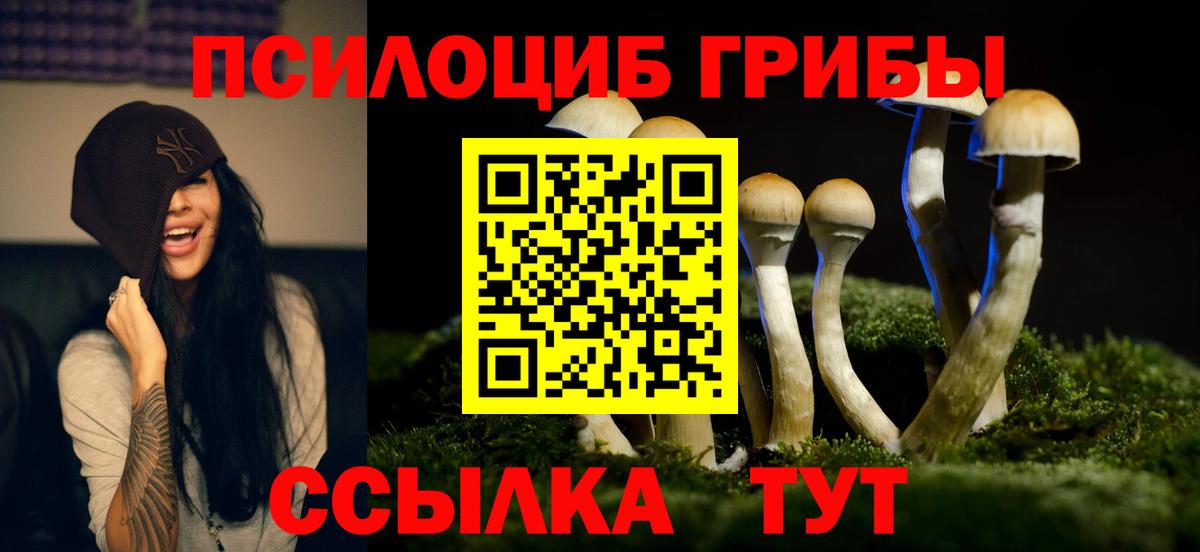 Псилоцибиновые грибы прущие грибы  Вход с VPN  Ржев  Псилоцибиновые грибы прущие грибы 